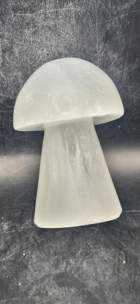 Large Selenite mushroom! 3.7 too 4 inches tall!