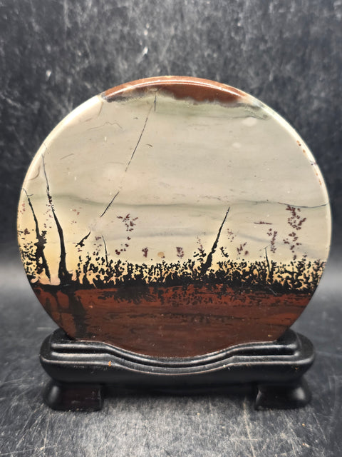 Natural picture jasper slab with stand! 5.1 ounces, 3.5 inches wide