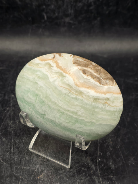 Caribbean calcite palm stone! 4.4 ounces, 2.7 inches long, 1.9" wide