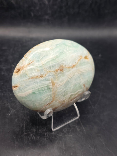 Caribbean calcite palm stone! 5.7 ounces, 3 inches long, 2.2" wide