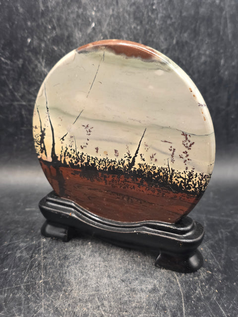 Natural picture jasper slab with stand! 5.1 ounces, 3.5 inches wide