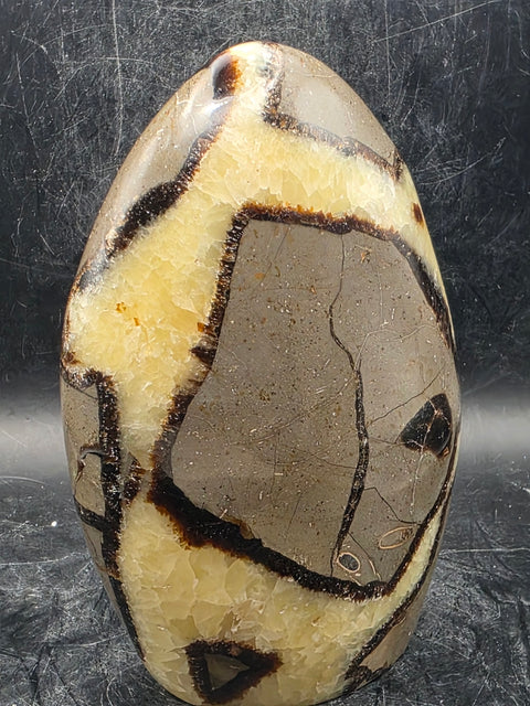 Septarian stone free form! 1.4 pounds!  4.5 inches tall, 3 inches wide