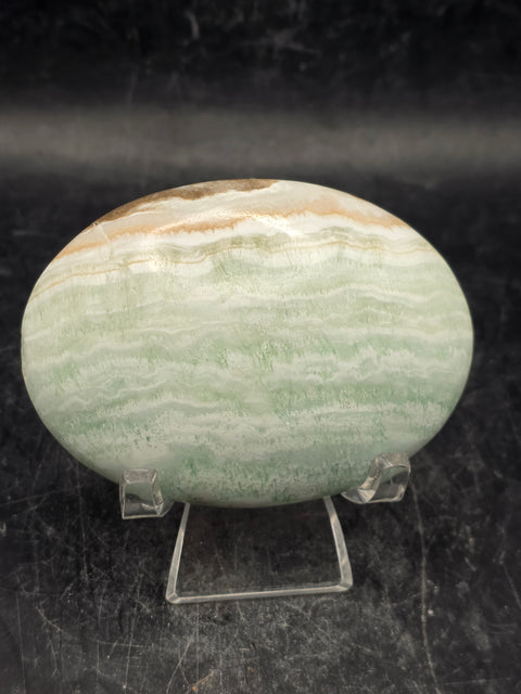 Caribbean calcite palm stone! 4.4 ounces, 2.7 inches long, 1.9" wide