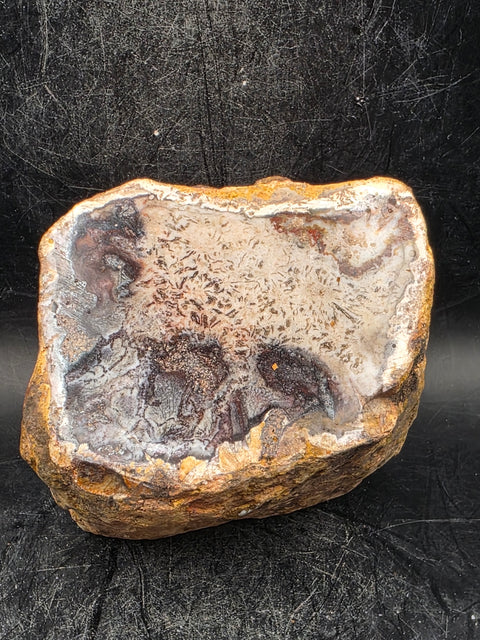 Petrified wood trunk! 1.2 pounds, 2.3 inches tall, 2.6" wide!
