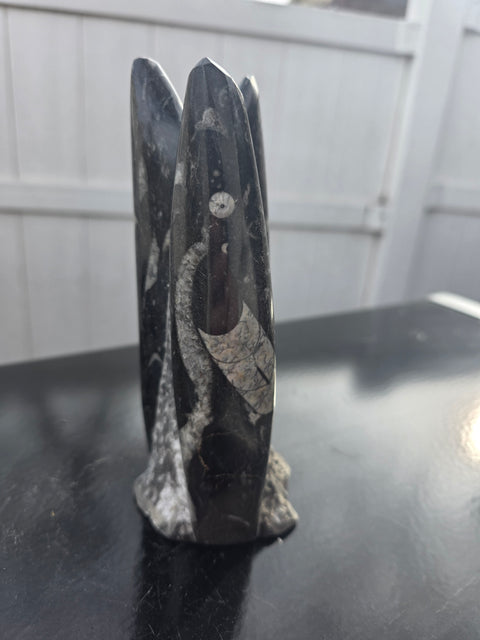 Orthoceras limestone statue! 1.14 pounds, 7 inches tall, 2.6" wide