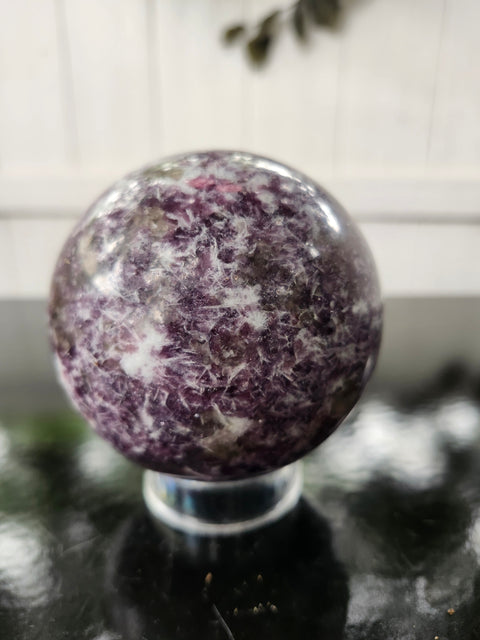 81mm, 3.18 inch Lepidolite sphere! 1.10 pounds