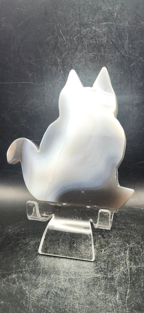 Druzy agate cat! 8 ounces, 4 inches tall, 4 inches wide