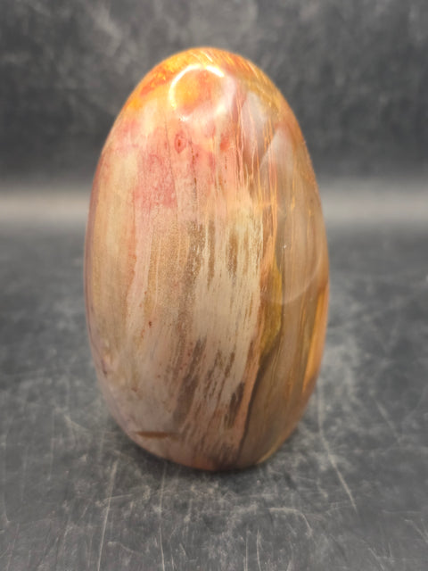 Petrified wood free form! 15.3 ounces, 3.4 inches tall, 2.3 wide