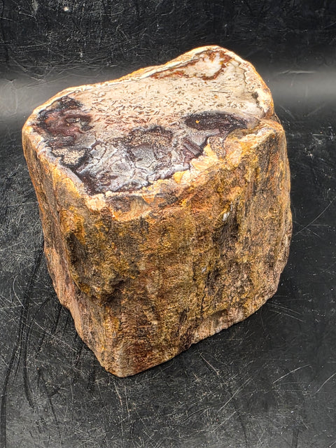 Petrified wood trunk! 1.2 pounds, 2.3 inches tall, 2.6" wide!