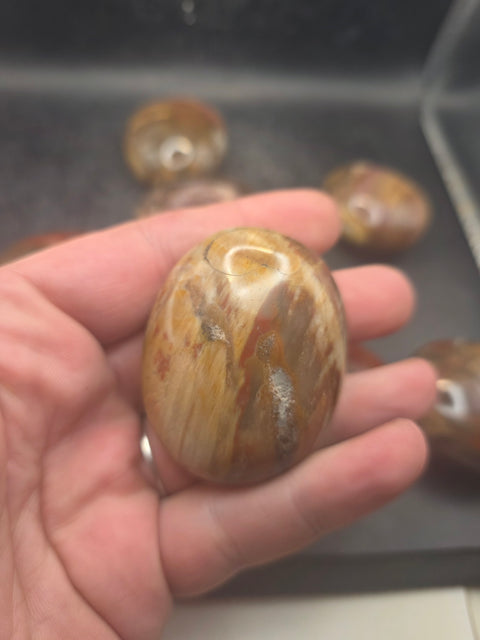 Petrified wood palm stone! 1.8 too 2.2 inches!