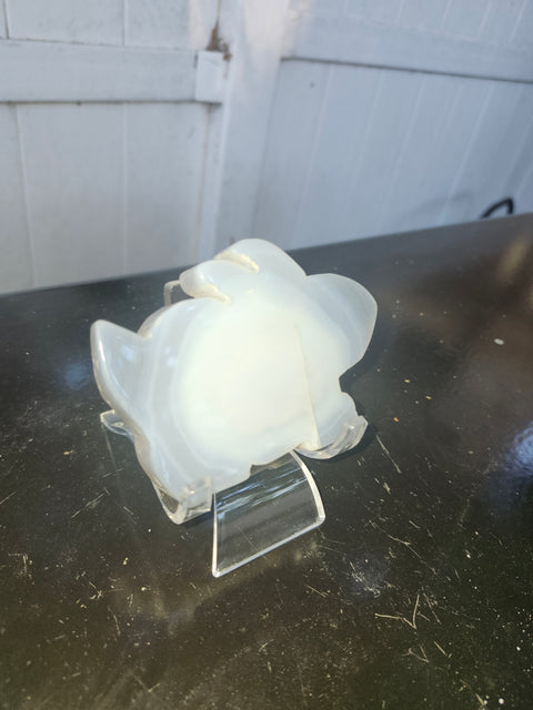 Druzy agate rabbit carving! 4.5 ounces, 3.5 inches wide, 2.5 inches tall