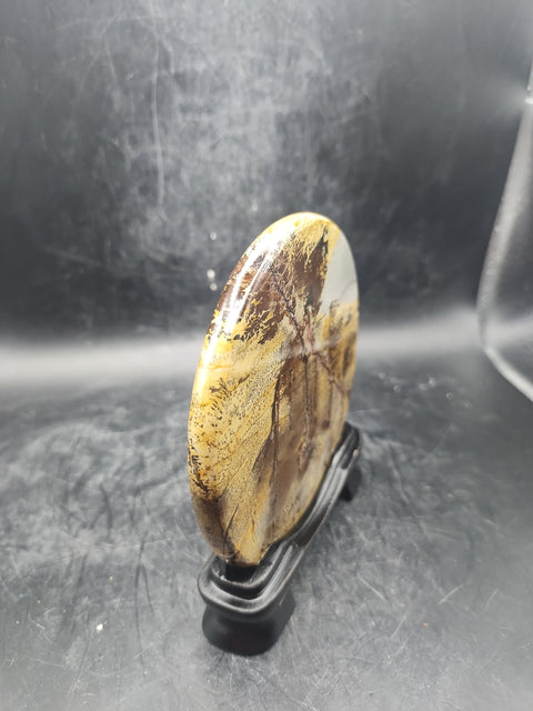 Natural Picture jasper slab with stand! 4.8 ounces, 3.5 inches