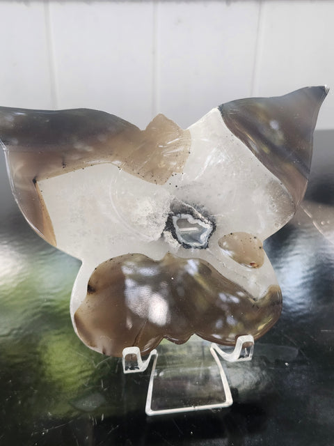Druzy agate butterfly! 4.9 inches wide, 3.36 inches tall, 8 ounces