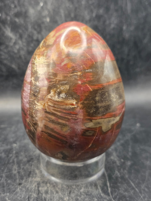 Petrified wood egg! 1.1 pounds, 3.4 inches tall, 2.5 wide