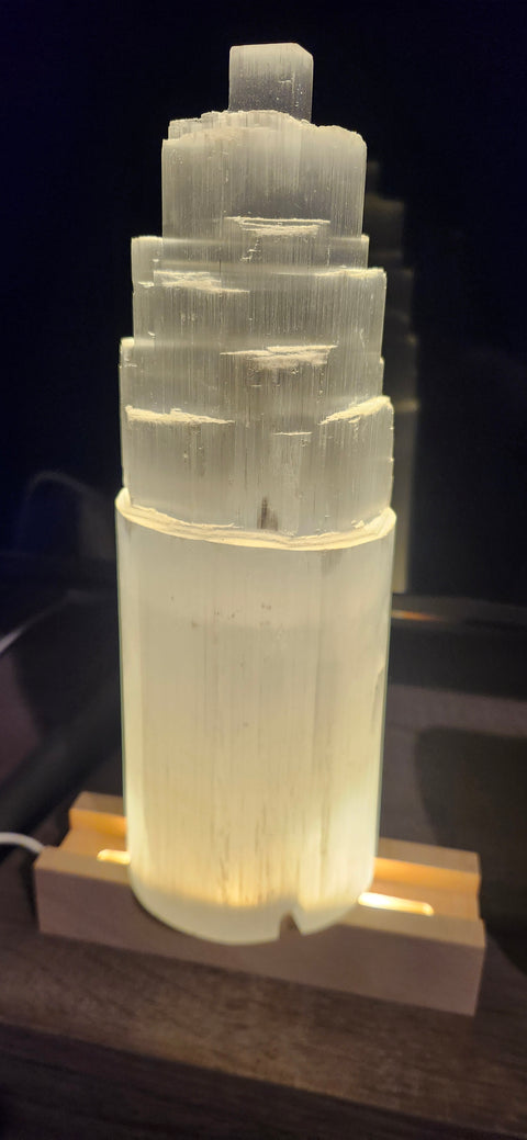 Tree of life selenite lamp! 10 inches tall, 3.5 wide, 4 pounds! With led base