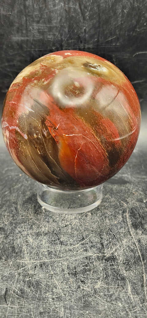 Petrified wood sphere! 60.8mm, 2.3 inches, 11 ounces,