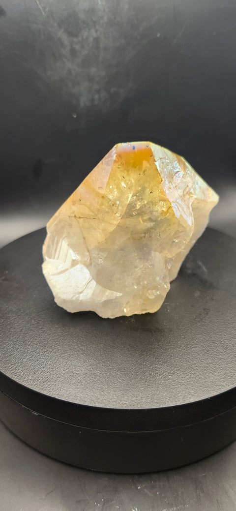 Angel aura citrine polished top point. 8.2 ounces!
