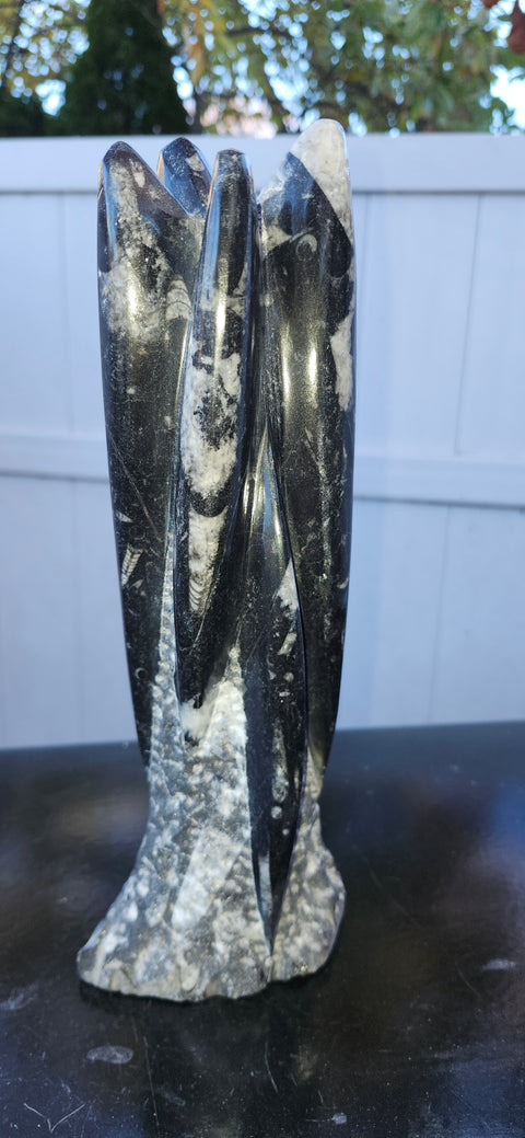 Large 6 orthoceras statue! 10 inches tall, 2.5 wide, 3.11 pounds!