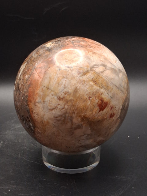 Large petrified wood sphere! 81mm, 3.1 inches, 1.8 pounds