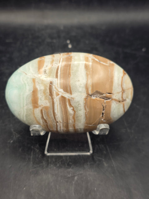 Caribbean calcite palm stone! 4.1 ounces, 2.9 inches long, 1.8" wide