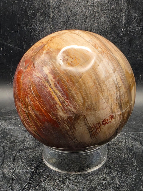 Petrified wood sphere! 79mm, 3.1 inches, 1.8 pounds!