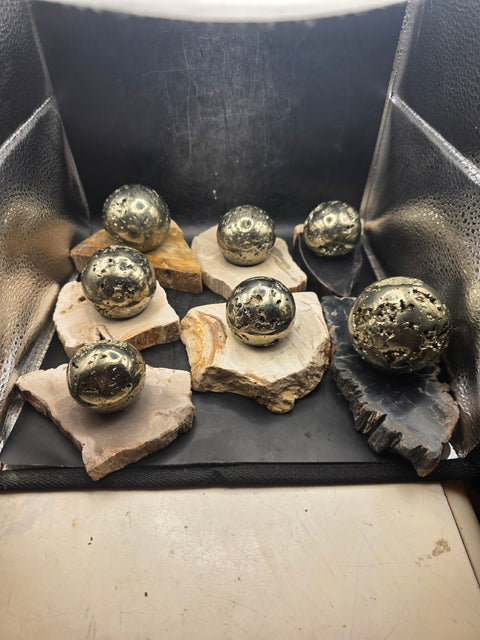 Petrified wood sphere holder! 4.2 too 5.2 inches!