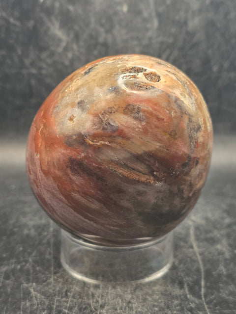 Petrified wood egg! 1.2 pounds, 3.3 inches tall, 2.6 inches wide