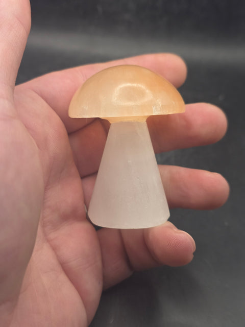 Small peach top selenite mushroom! 2.3 inches tall