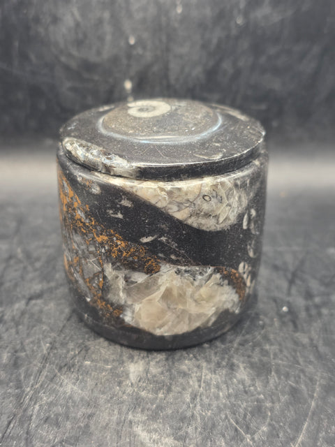 Small round fossil box! 2.4 inches tall, 2.3 inches wide, 8.6 ounces