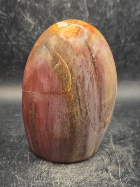 Petrified wood free form! 15.3 ounces, 3.4 inches tall, 2.3 wide