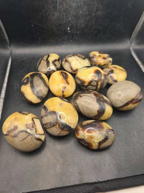 Septarian stone palm stone! 1.8 too 2.2 inchs!