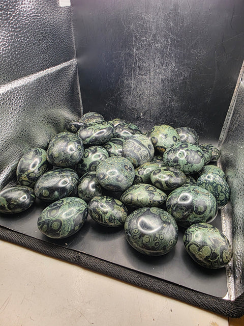 Kambaba Jasper palm stones! Set of 2! 1.6 to 2.6 inches!