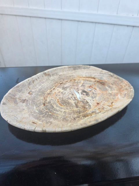 Large petrified wood plate! 11 inches long, 8 inches wide, 2.12 pounds!