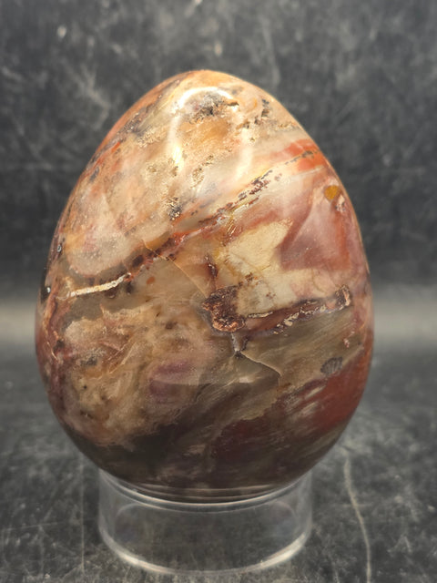 Petrified wood egg! 1.2 pounds, 3.3 inches tall, 2.6 inches wide