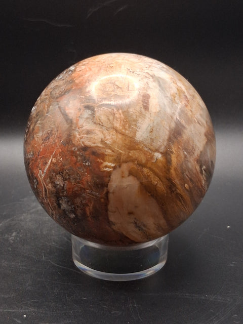 Large petrified wood sphere! 81mm, 3.1 inches, 1.8 pounds