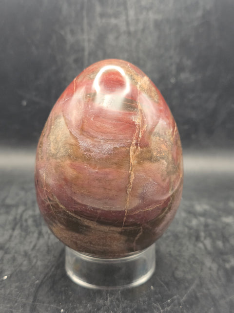 Petrified wood egg! 1.4 pounds! 3.5 inches tall, 2.7" wide