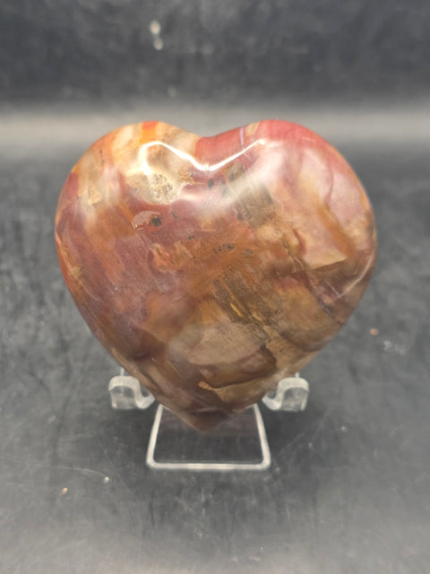 Petrified wood heart! 8.5 ounces, 2.8 by 2.8 inches!