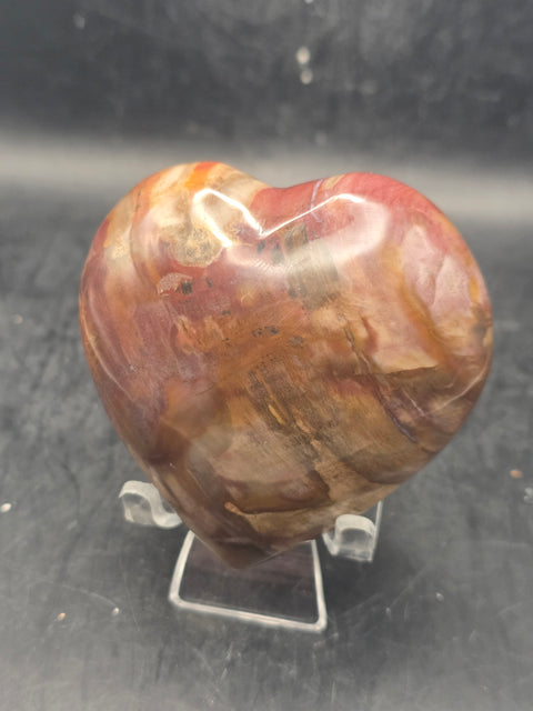 Petrified wood heart! 8.5 ounces, 2.8 by 2.8 inches!