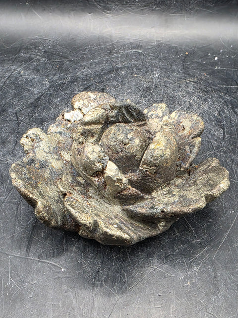 Black pyrite rose! 7 ounces, 2.8 inches wide!