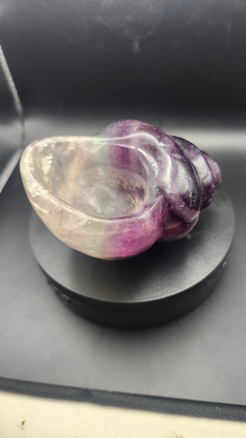 Florite conch shell offering bowl. 1.12 pounds, 4.6 inches long by 3.1 inches wide