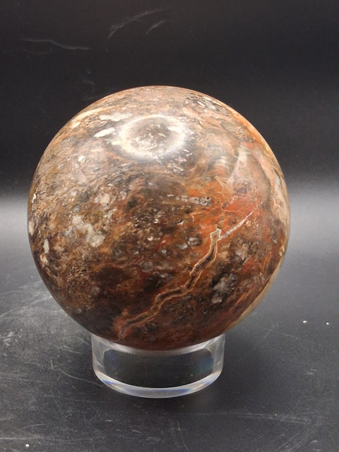 Large petrified wood sphere! 81mm, 3.1 inches, 1.8 pounds