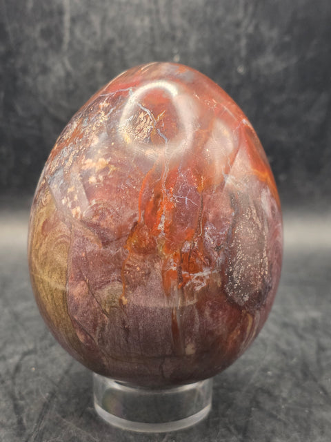 Petrified wood egg! 3.1 inches tall, 2.5 inches wide, 1 pound