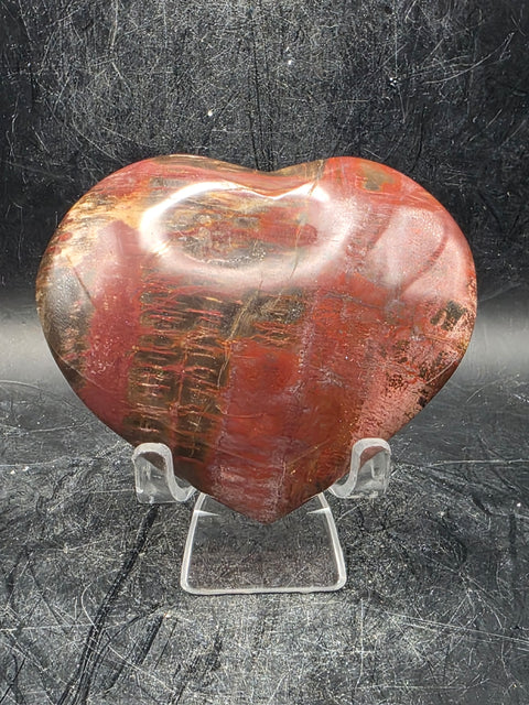 Petrified wood heart! 7.2 ounces, 3.1 inches wide by 2.7" tall