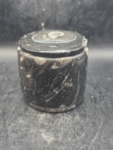 Small round fossil box! 2.4 inches tall, 2.3 inches wide, 8.6 ounces