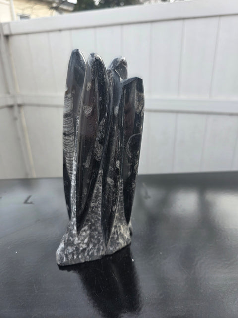 Orthoceras limestone statue! 3.4 pounds, 8 inches tall, 3.1" wide!