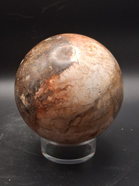 Large petrified wood sphere! 81mm, 3.1 inches, 1.8 pounds
