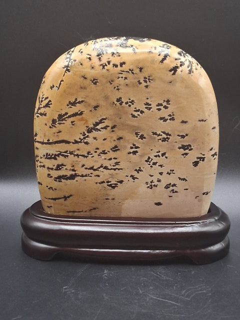 Picture jasper slab with stand! 4 by 4 inches, 1.3 pounds, 1.3" thick