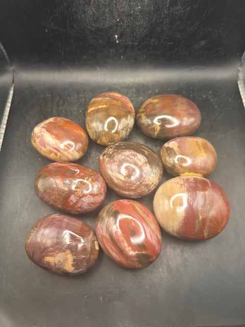 Petrified wood palm stone! 1.8 too 2.2 inches!