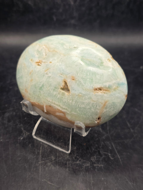 Caribbean calcite palm stone! 5.7 ounces, 3 inches long, 2.2" wide