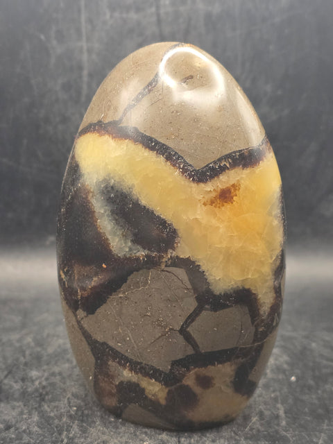 Septarian stone free form! 1.5 pounds, 4.2 inches tall, 3" wide!